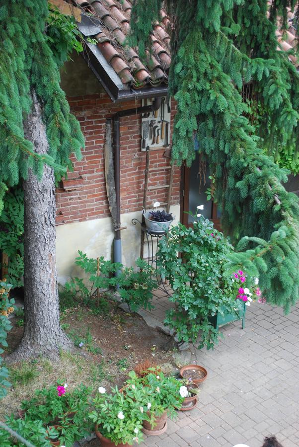 Bed and Breakfast La Curandera Rosta Esterno foto
